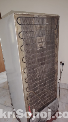 ফ্রিজ ( Refrigerator freeze)